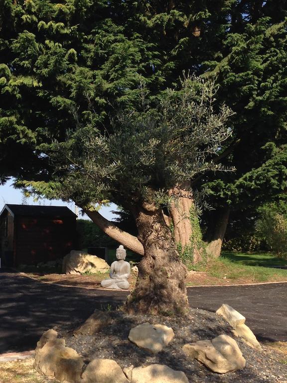 Le Domaine De Saint-Thomin Bed and Breakfast Nostang Εξωτερικό φωτογραφία